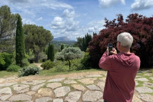 Marseille port: Half-Day Shared Tour to Aix-en-Provence