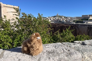 Marseille: Private Customised Walking 2-Hour Tour