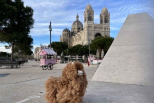 Marseille: Private Customised Walking 2-Hour Tour