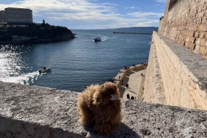 Marseille: Private Customised Walking 2-Hour Tour