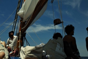 Marseille: Sailing cruise in the calanques, lunch and wine