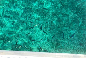 Marseille: Set sail for the Château d'If and the Frioul Islands