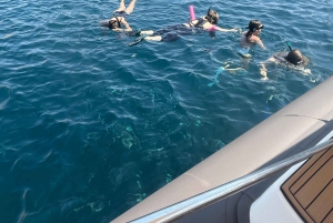 Marseille: Set sail for the Château d'If and the Frioul Islands