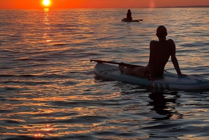 Marseille: stand-up paddle tour - discover the calanques
