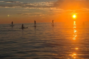 Marseille: stand-up paddle tour - discover the calanques