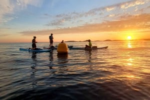 Marseille : Sunset Stand up paddle