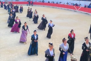 Marseille: The Camargue 8-Hour Guided Outing