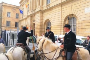 Marseille: The Camargue 8-Hour Guided Outing