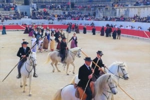 Marseille: The Camargue 8-Hour Guided Outing