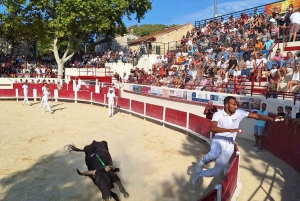 Marseille: The Camargue 8-Hour Guided Outing