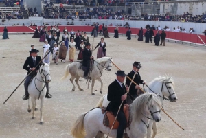 Marseille: The Camargue 8-Hour Guided Outing