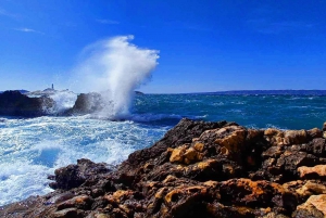Marseille: Half-Day City Highlights Guided Walking Tour