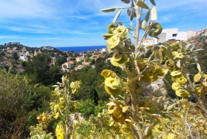 Marseille: Half-Day City Highlights Guided Walking Tour