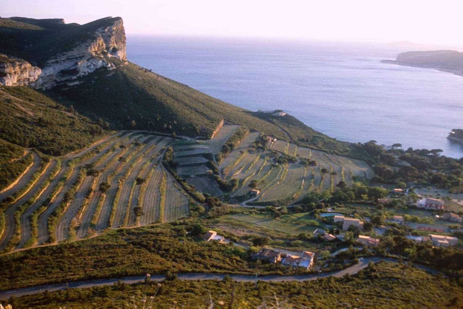 Marseille Vieux Port & Wine Tasting - Private Tour