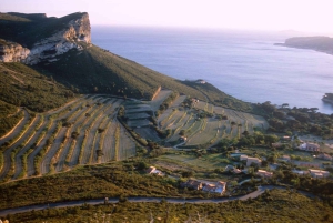 Marseille Vieux Port & Wine Tasting - Private Tour