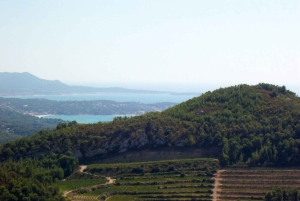 Marseille Vieux Port & Wine Tasting - Private Tour