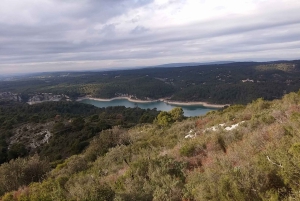 Marseille Vieux Port & Wine Tasting - Private Tour