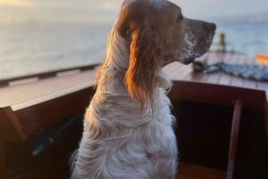 Vintage sunset boat tour of Marseille for couples (2h)