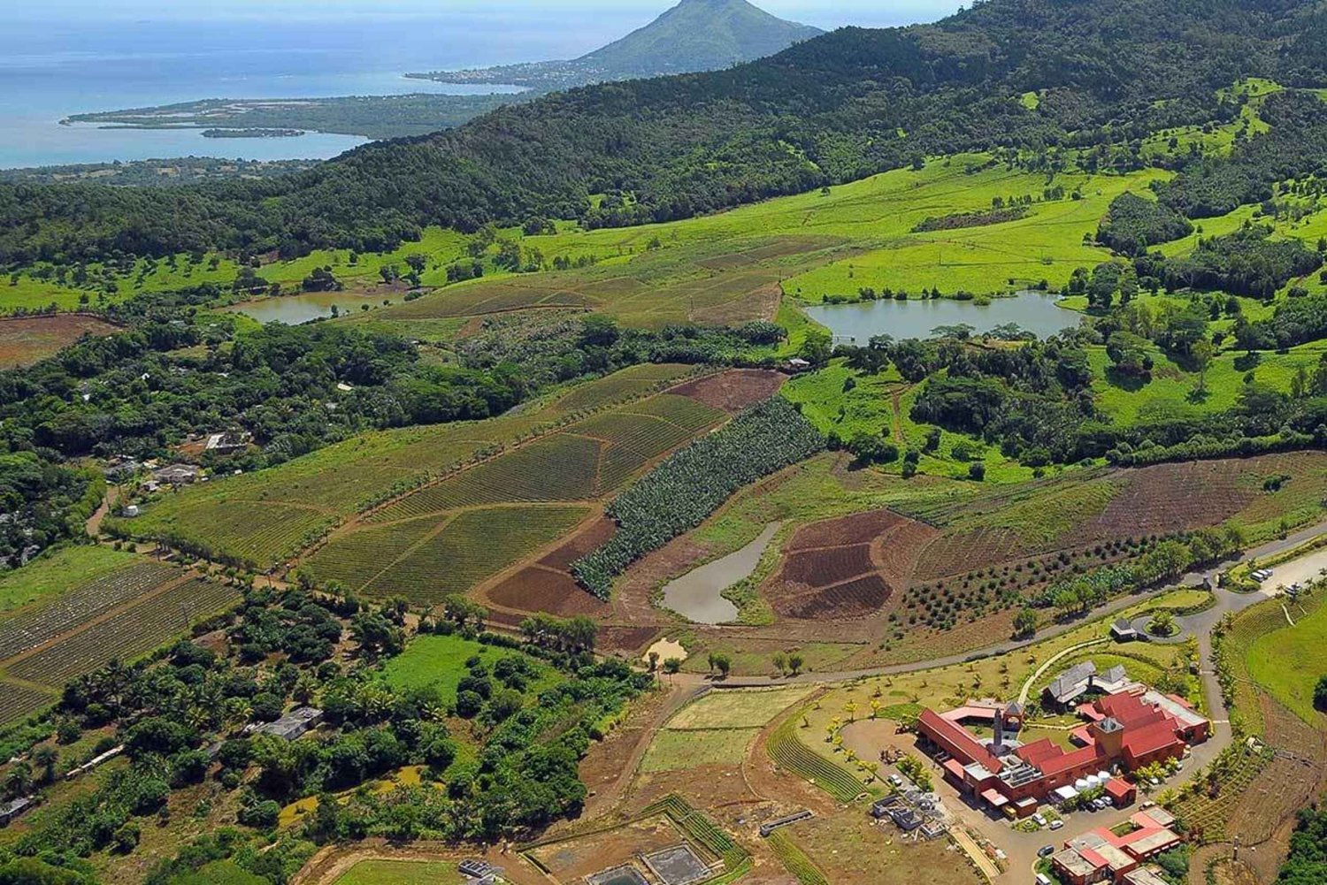 Mauritius: Wild Southwest Full-Day Tour with Lunch