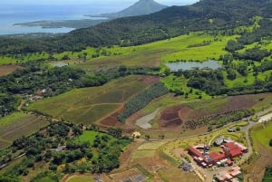 Mauritius: Wild Southwest Full-Day Tour with Lunch