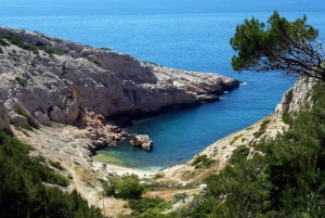 Marseilles: Private Custom Tour with a Local Guide