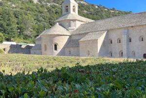 Provençal escape : discover the villages of the Luberon