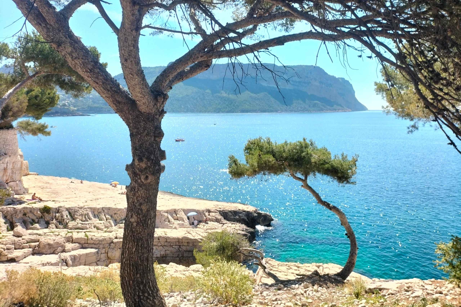 Richness of Provence in one day - customizable private trip