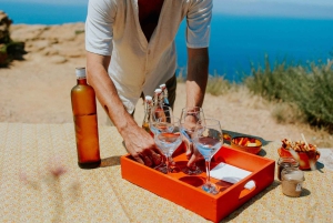 Richness of Provence in one day - customizable private trip