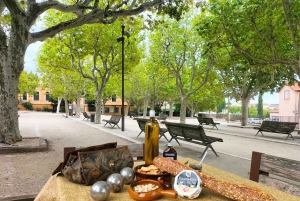 Richness of Provence in one day - customizable private trip