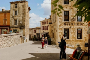Richness of Provence in one day - customizable private trip