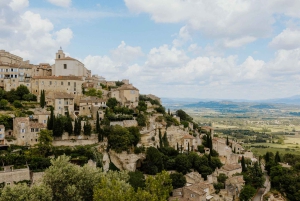Richness of Provence in one day - customizable private trip