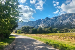 Richness of Provence in one day - customizable private trip