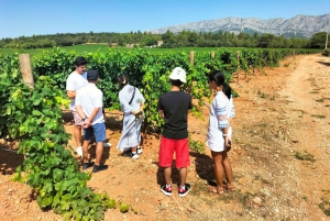 Richness of Provence in one day - customizable private trip