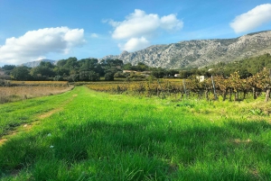 Richness of Provence in one day - customizable private trip