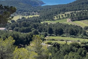 Saint-Cyr-sur-mer: guided hike to the Sand Dune