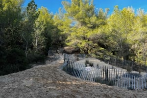 Saint-Cyr-sur-mer: guided hike to the Sand Dune