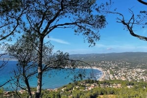 Saint-Cyr-sur-mer: guided hike to the Sand Dune