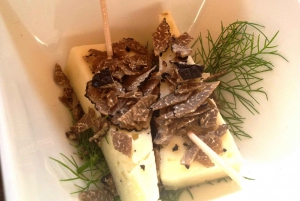 Truffle Hunting in Provence