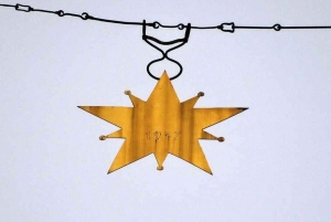 Wild Alps, Verdon Canyon, Moustiers village, Lavender fields