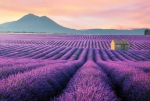 Wild Alps, Verdon Canyon, Moustiers village, Lavender fields