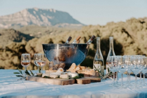 From Marseille: Aix en Provence Wine and Cheese Tour