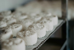 From Marseille: Aix en Provence Wine and Cheese Tour