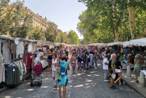 Aix en Provence: Discovery of Prestigeous Wineries and Art