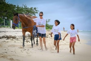1 hour horseback riding on the island