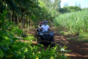 2-Hour Quad Bike Tour of the Wild South of Mauritius