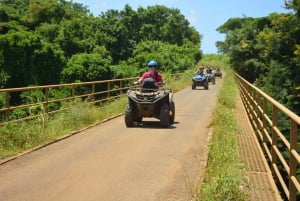 2-Hour Quad Bike Tour of the Wild South of Mauritius