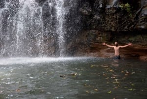 モーリシャスの自然豊かな南部を巡る 2 時間の四輪バイク ツアー