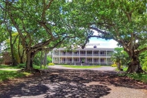 3-dagers privat tur til Mauritius med valgfri delfinsvømming