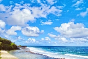 3-dagers privat tur til Mauritius med valgfri delfinsvømming