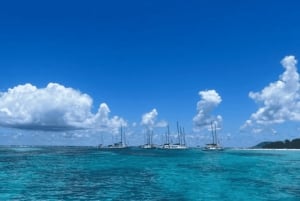 3 Inseln Privates Schnellboot mit Mittagessen & Schnorcheln Meeresschildkröte